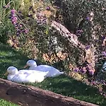 Piccolo Relais Galletto Di Marzo -dimora Per Due Con Privata Paciano