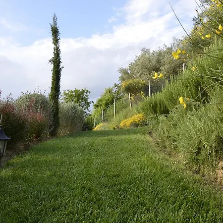 Bed & Breakfast Piccolo Relais Galletto Di Marzo E Relax Solo Per Due 3*