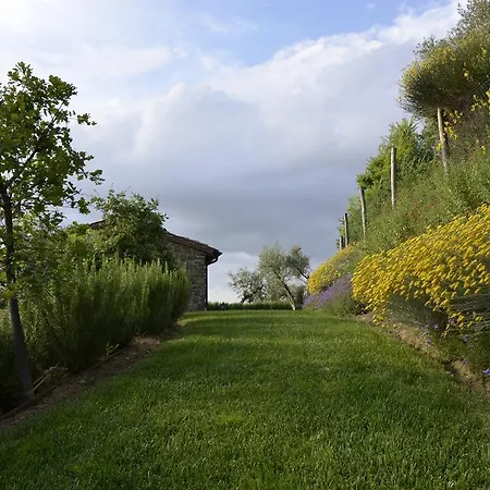 Bed & Breakfast Piccolo Relais Galletto Di Marzo -dimora Per Due Con Privata