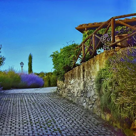 Piccolo Relais Galletto Di Marzo E Relax Solo Per Due Bed & Breakfast Paciano