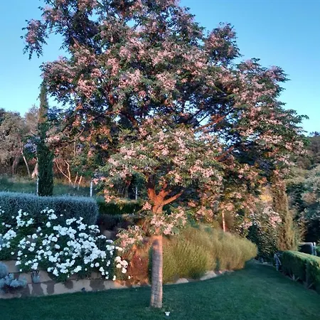 Piccolo Relais Galletto Di Marzo E Relax Solo Per Due B&B