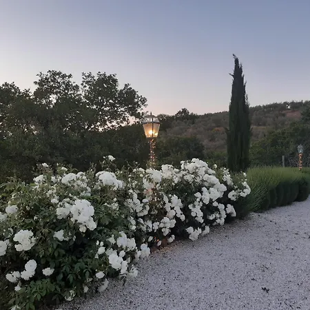 Oda ve Kahvaltı Piccolo Relais Galletto Di Marzo -dimora Per Due Con Privata Paciano