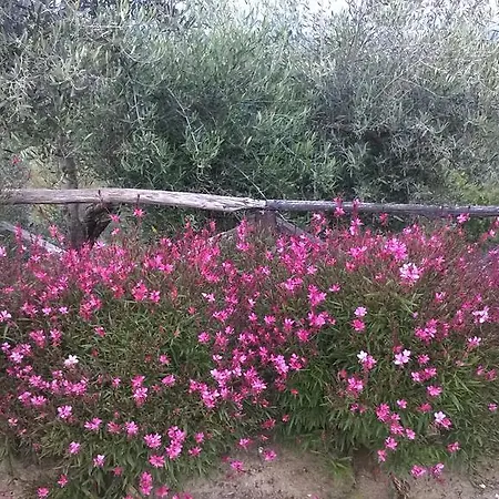 Piccolo Relais Galletto Di Marzo -dimora Per Due Con Privata Bed & Breakfast 4*