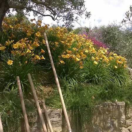 Piccolo Relais Galletto Di Marzo E Relax Solo Per Due 3* Paciano