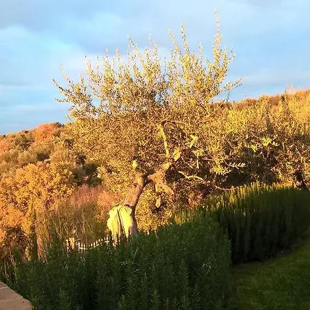 Piccolo Relais Galletto Di Marzo E Relax Solo Per Due B&B 파치아노