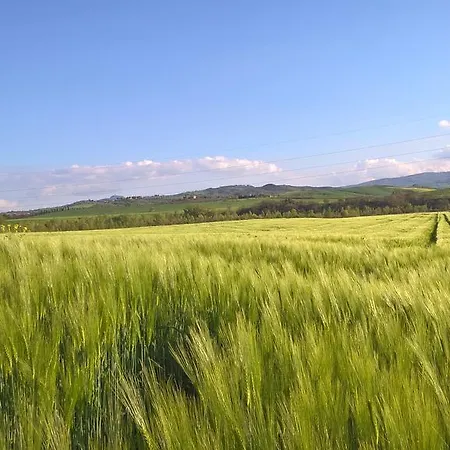 B&B Piccolo Relais Galletto Di Marzo E Relax Solo Per Due 파치아노