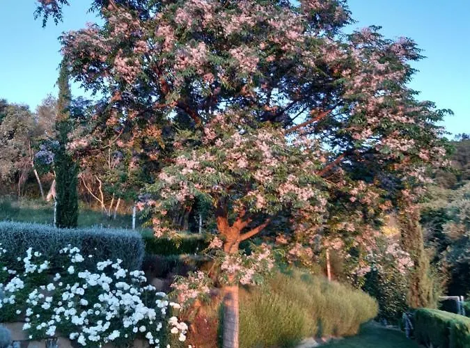 Piccolo Relais Galletto Di Marzo -dimora Per Due Con Privata Alojamento de Acomodação e Pequeno-almoço