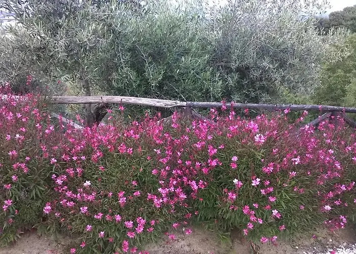 Piccolo Relais Galletto Di Marzo -dimora Per Due Con Privata ベッド・アンド・ブレックファスト 4*