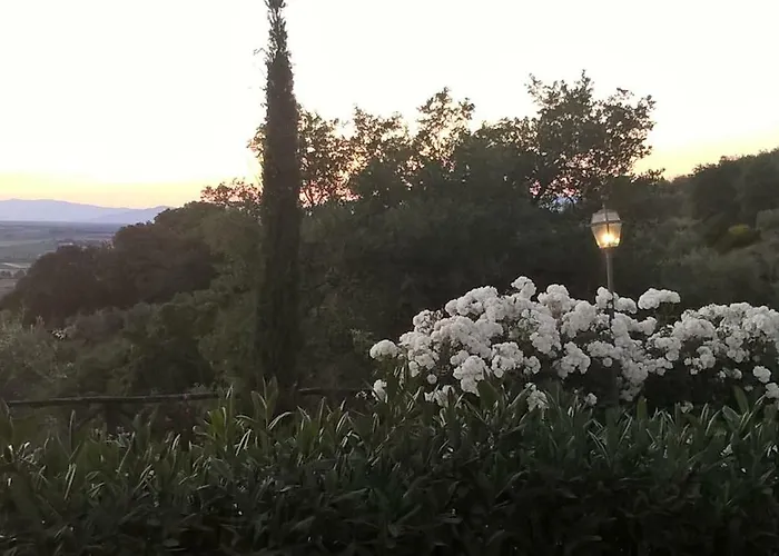 ベッド・アンド・ブレックファスト Piccolo Relais Galletto Di Marzo -dimora Per Due Con Privata Paciano