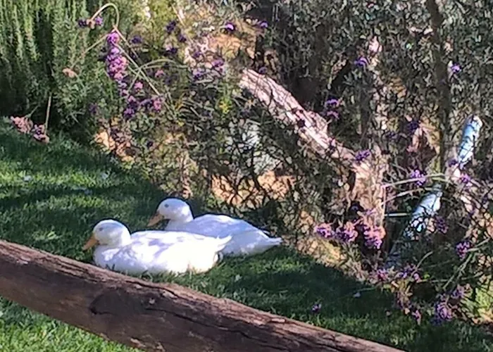 Piccolo Relais Galletto Di Marzo -dimora Per Due Con Privata Paciano